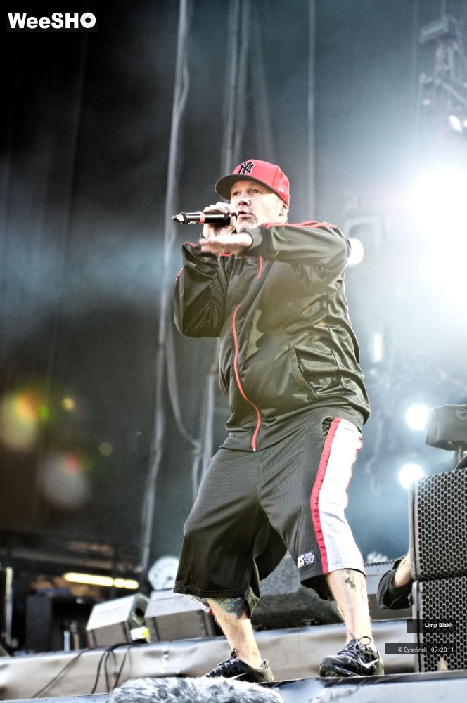 13/31 photos du spectacle Limp Bizkit