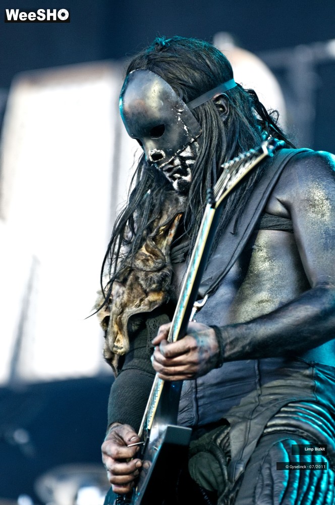 14/31 photos du spectacle Limp Bizkit