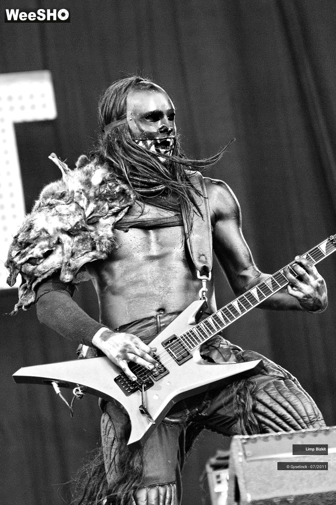 15/31 photos du spectacle Limp Bizkit