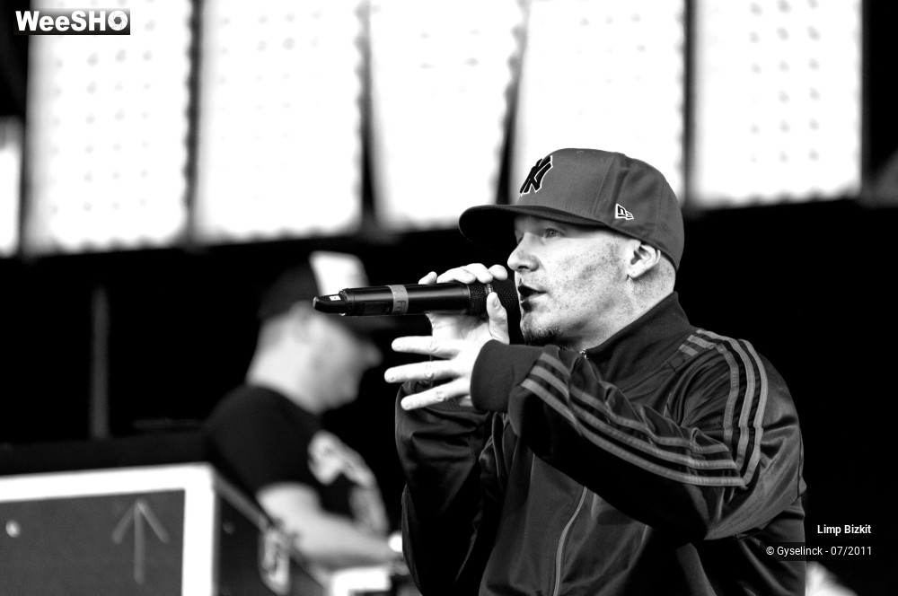 18/31 photos du spectacle Limp Bizkit