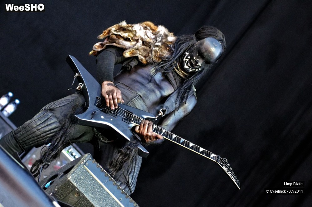 19/31 photos du spectacle Limp Bizkit