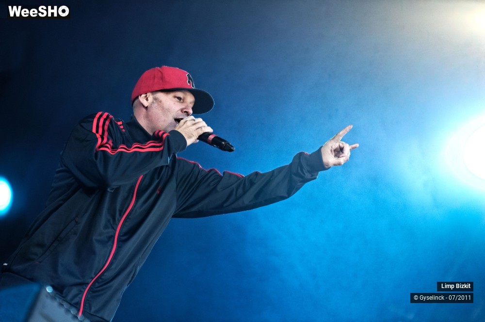 20/31 photos du spectacle Limp Bizkit