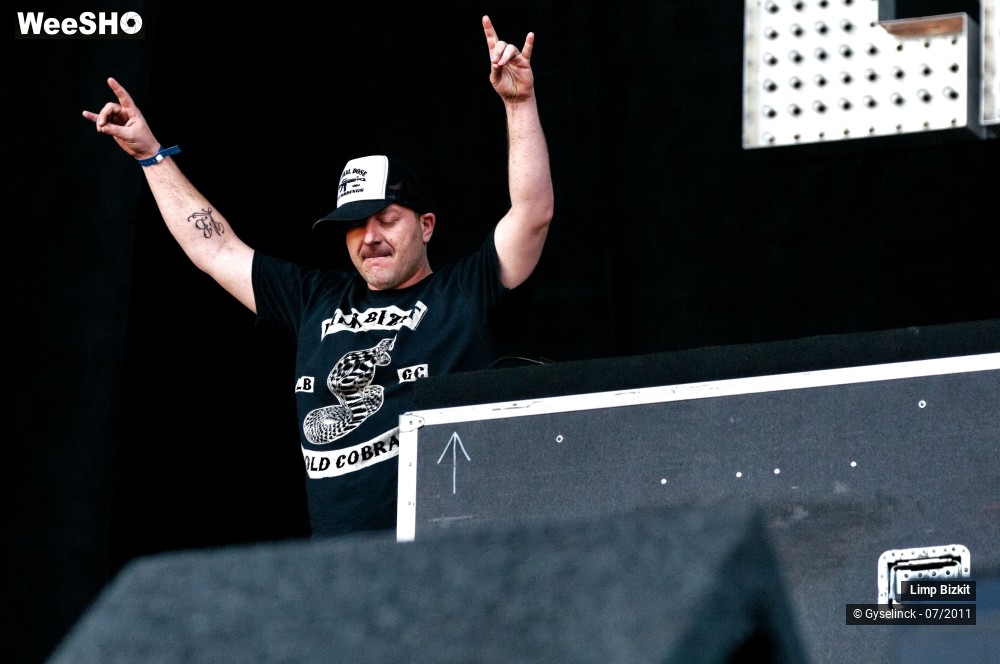 21/31 photos du spectacle Limp Bizkit