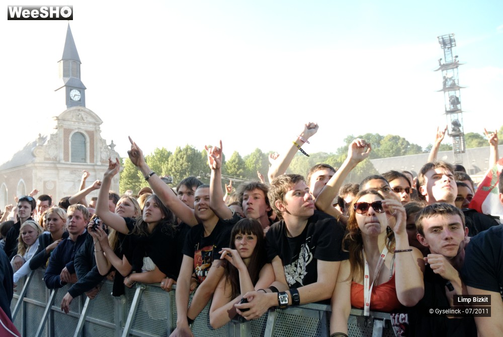 22/31 photos du spectacle Limp Bizkit