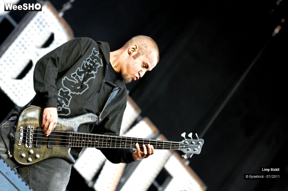 23/31 photos du spectacle Limp Bizkit