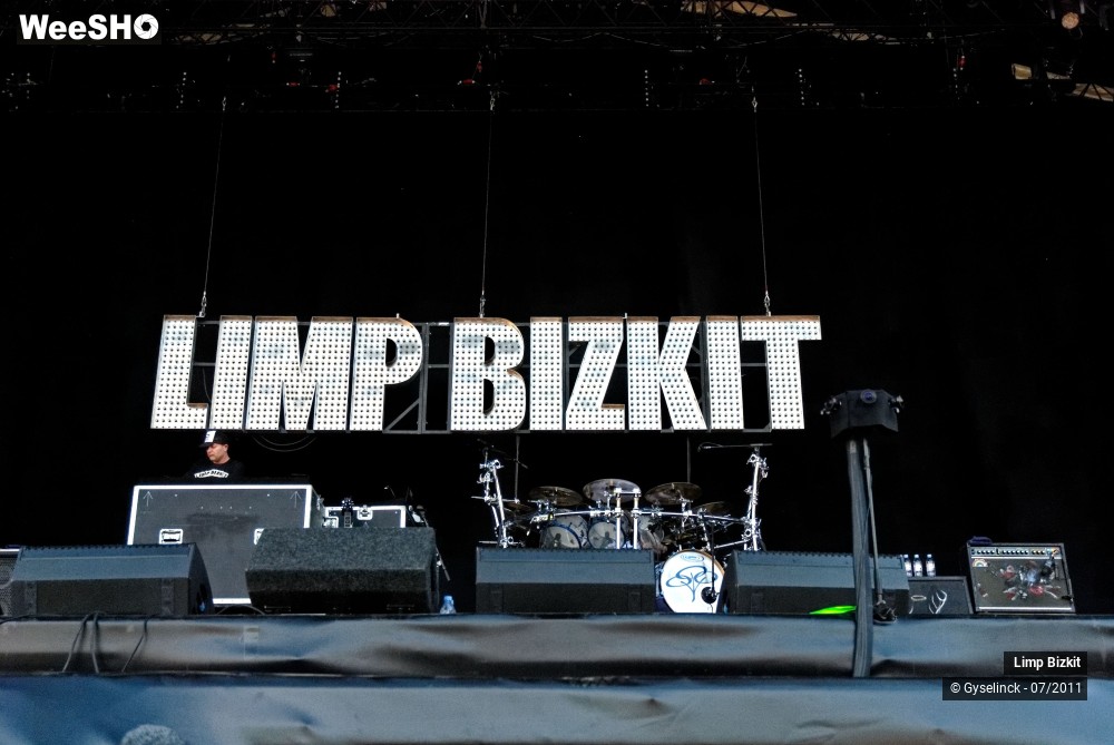 24/31 photos du spectacle Limp Bizkit
