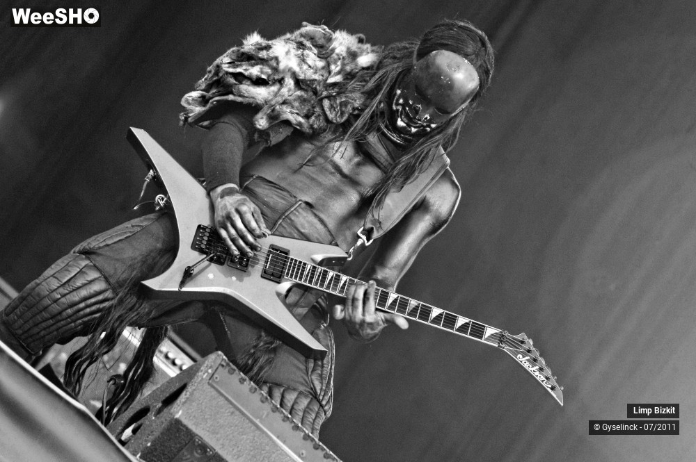 25/31 photos du spectacle Limp Bizkit