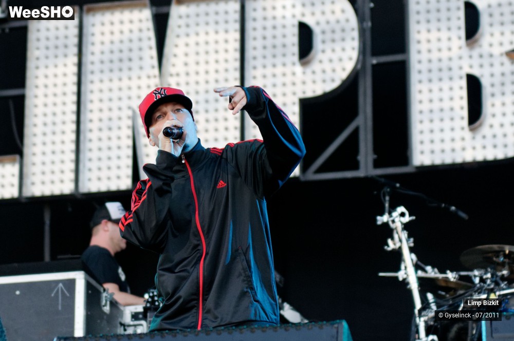 26/31 photos du spectacle Limp Bizkit