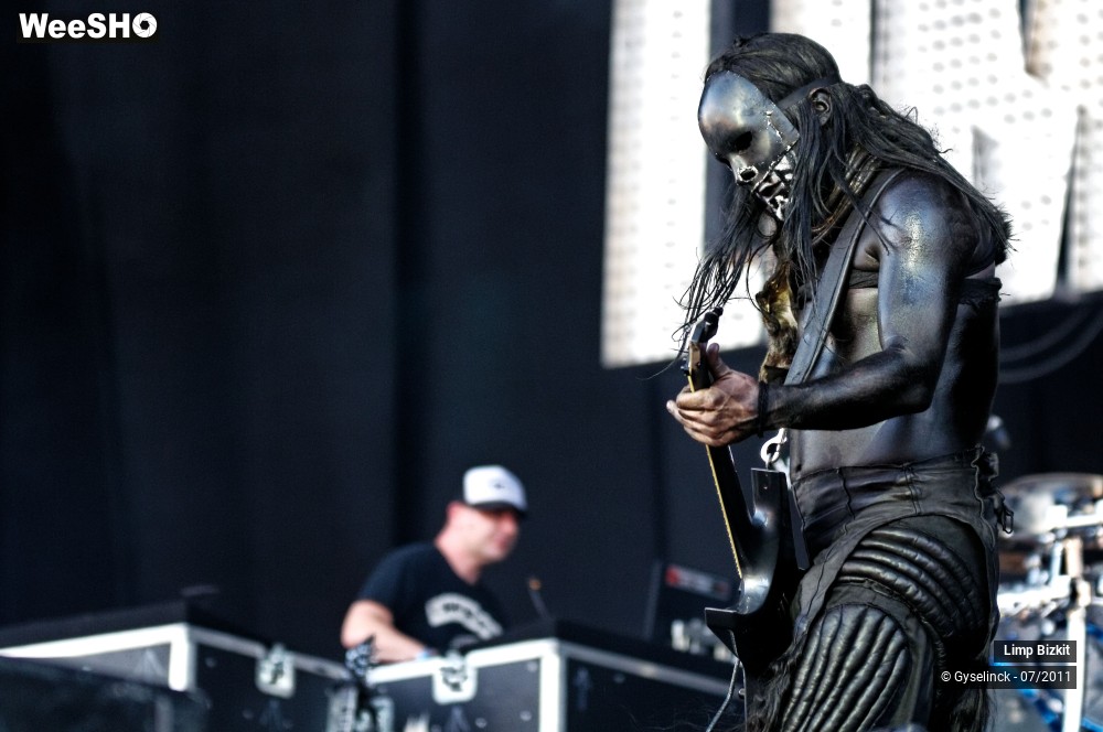 27/31 photos du spectacle Limp Bizkit