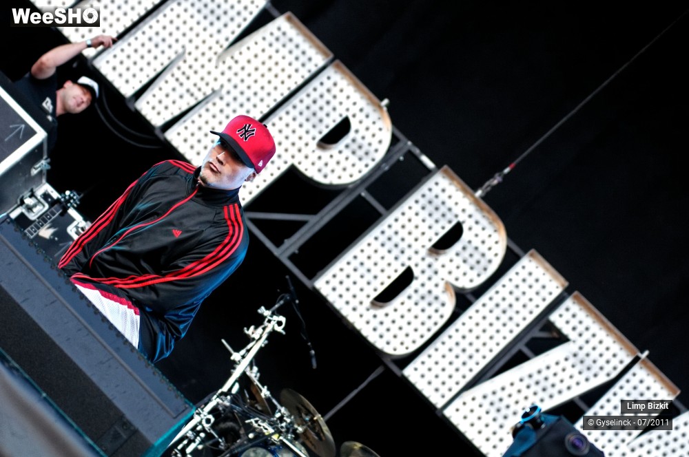 29/31 photos du spectacle Limp Bizkit
