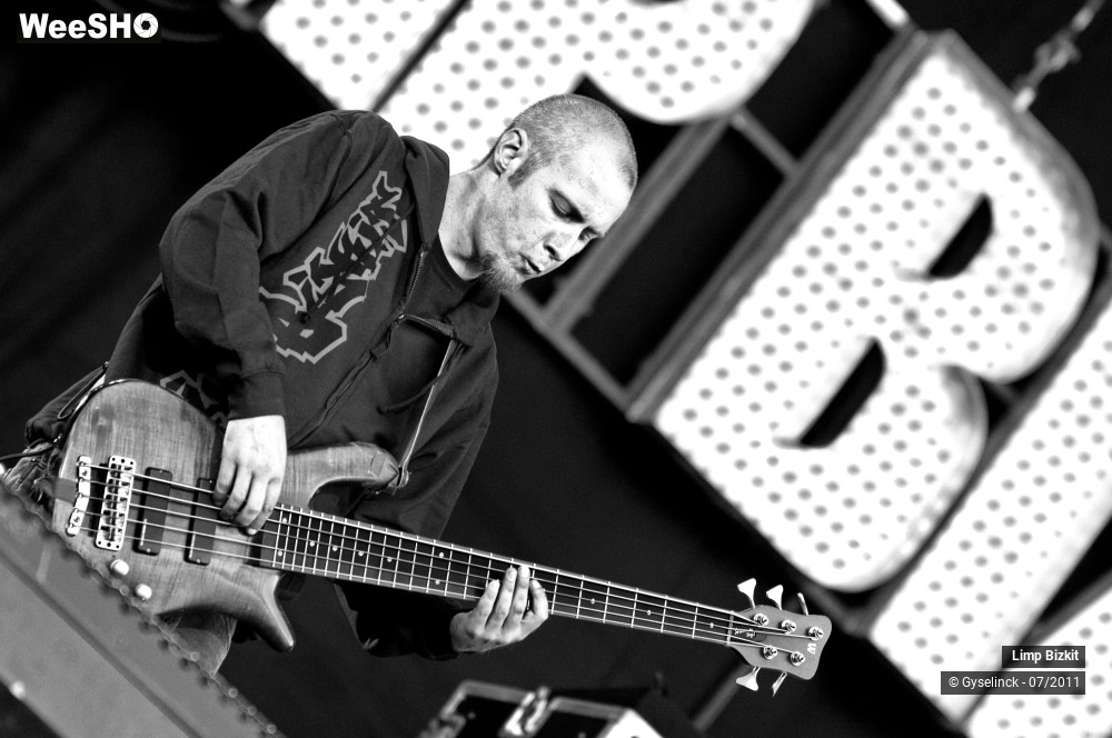 30/31 photos du spectacle Limp Bizkit