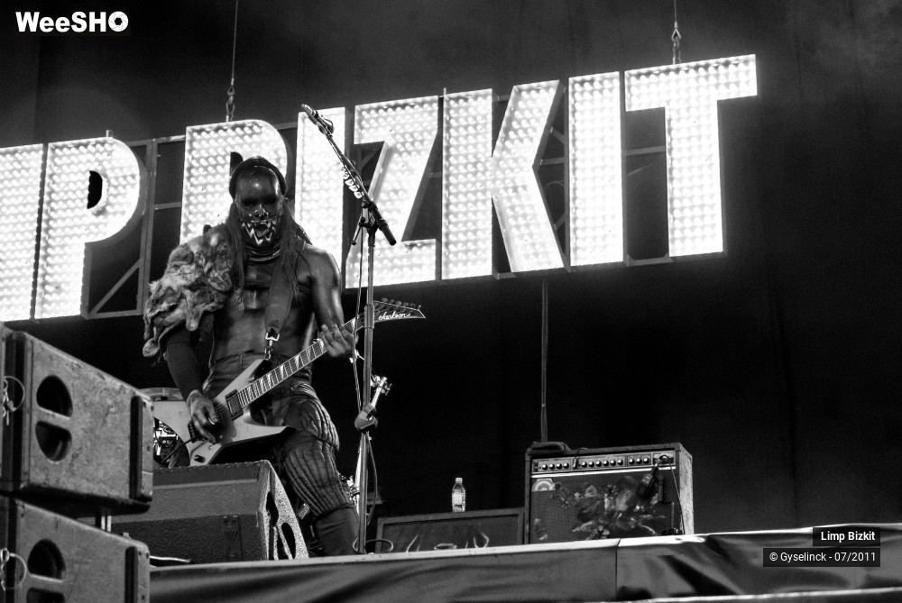 31/31 photos du spectacle Limp Bizkit