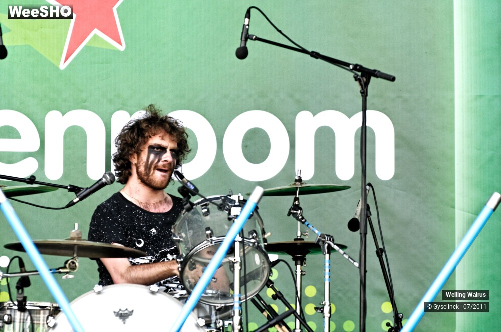 24/28 photos du spectacle Welling Walrus