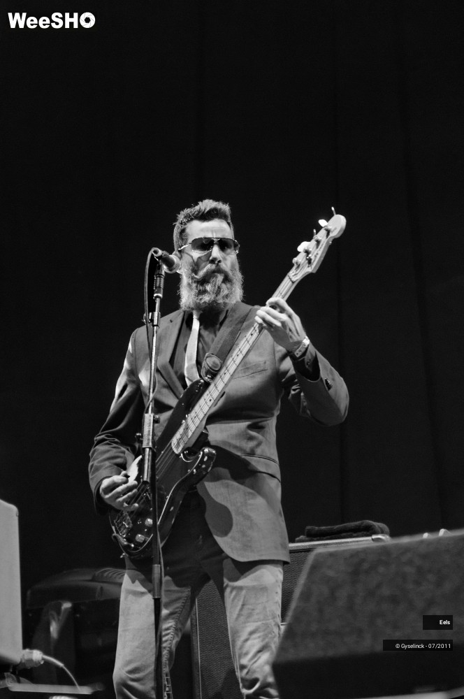 22/47 photos du spectacle Eels