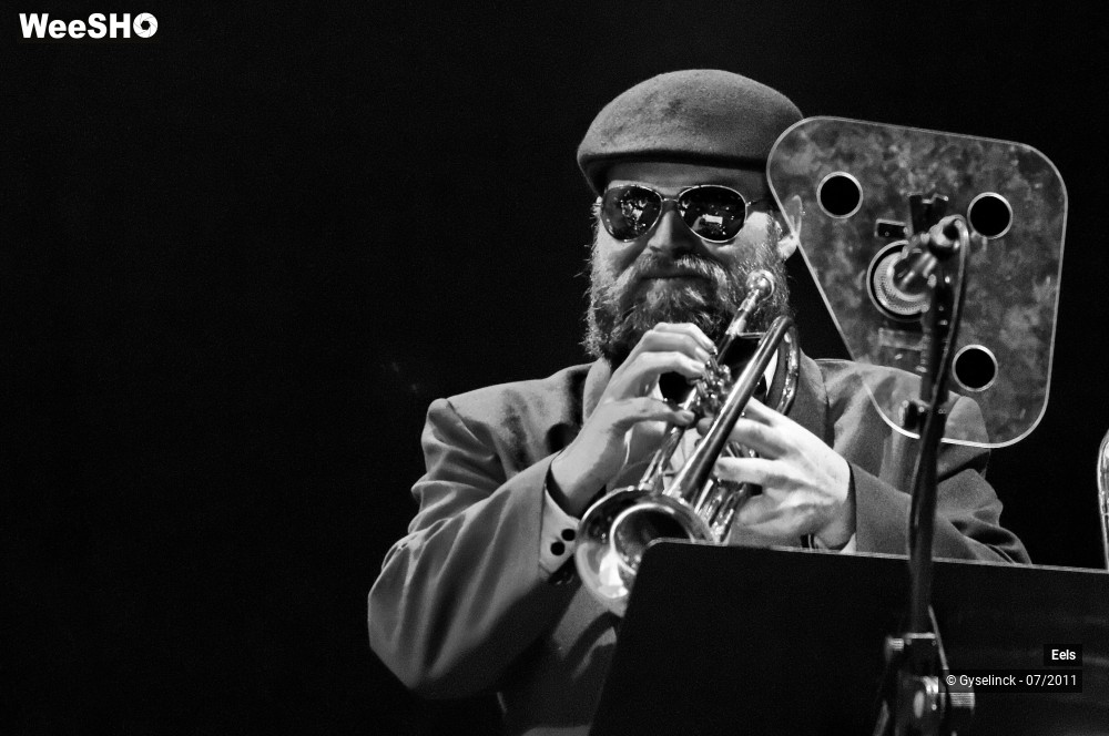 29/47 photos du spectacle Eels