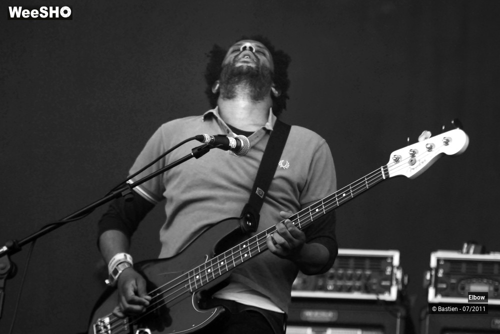 32/35 photos du spectacle Elbow