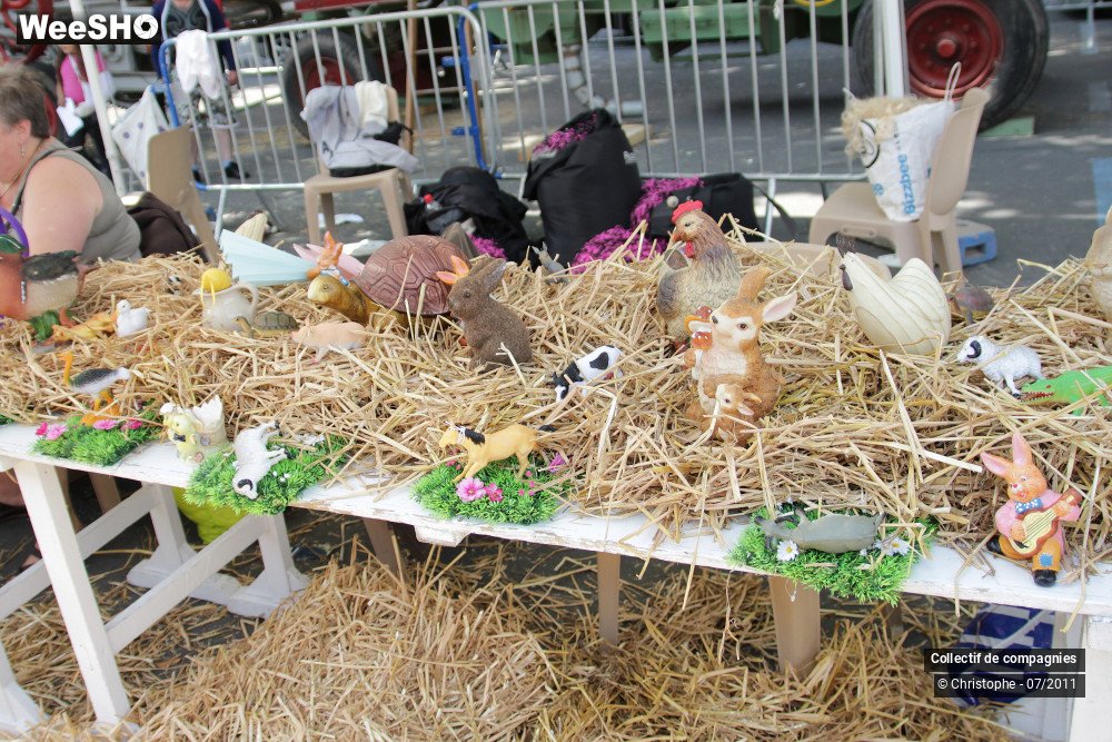 41/50 photos du spectacle La campagne s'invite à Anzin