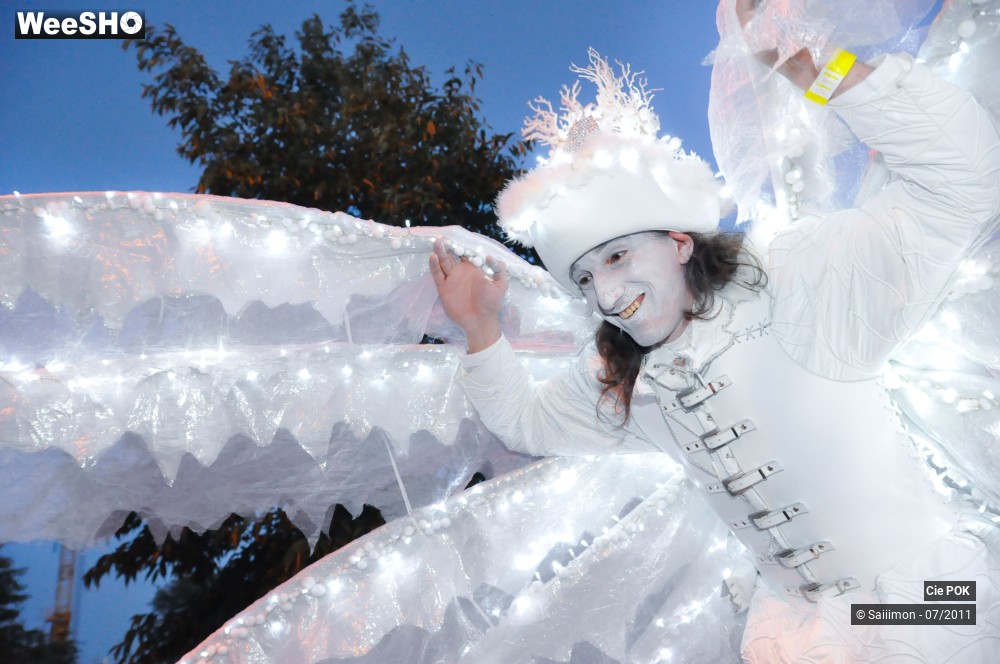 11/21 photos du spectacle La Parade de Feu