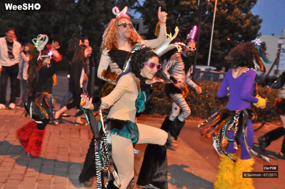 16/21 photos du spectacle La Parade de Feu