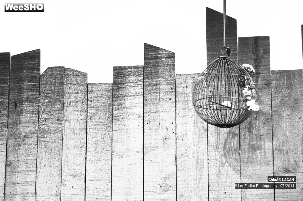 15/22 photos du spectacle Chloé Lacan