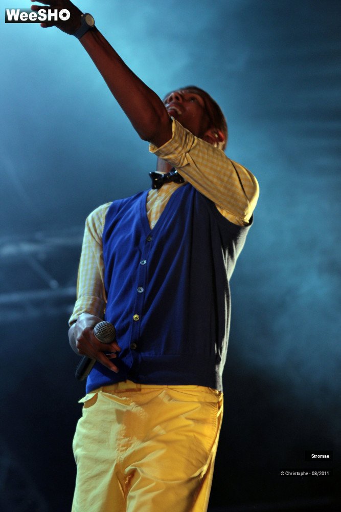 17/26 photos du spectacle Stromae