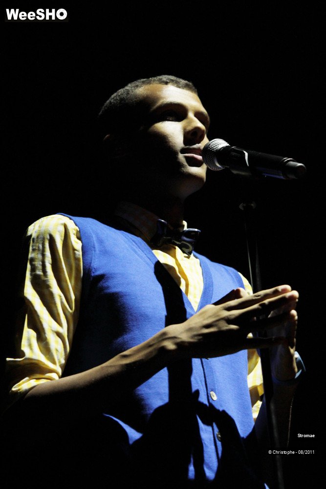 23/26 photos du spectacle Stromae