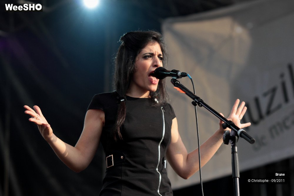 8/33 photos du spectacle Brune