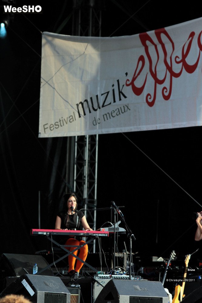 24/33 photos du spectacle Brune