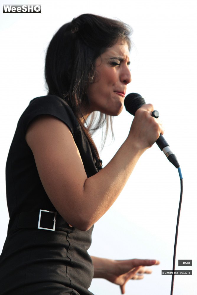 25/33 photos du spectacle Brune