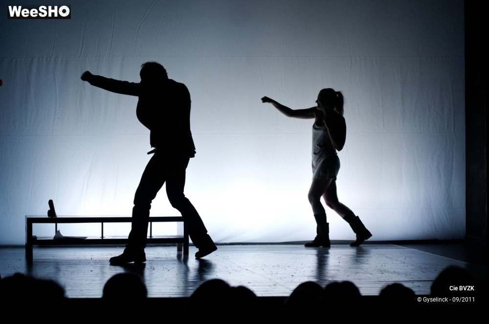 20/46 photos du spectacle Autoportrait