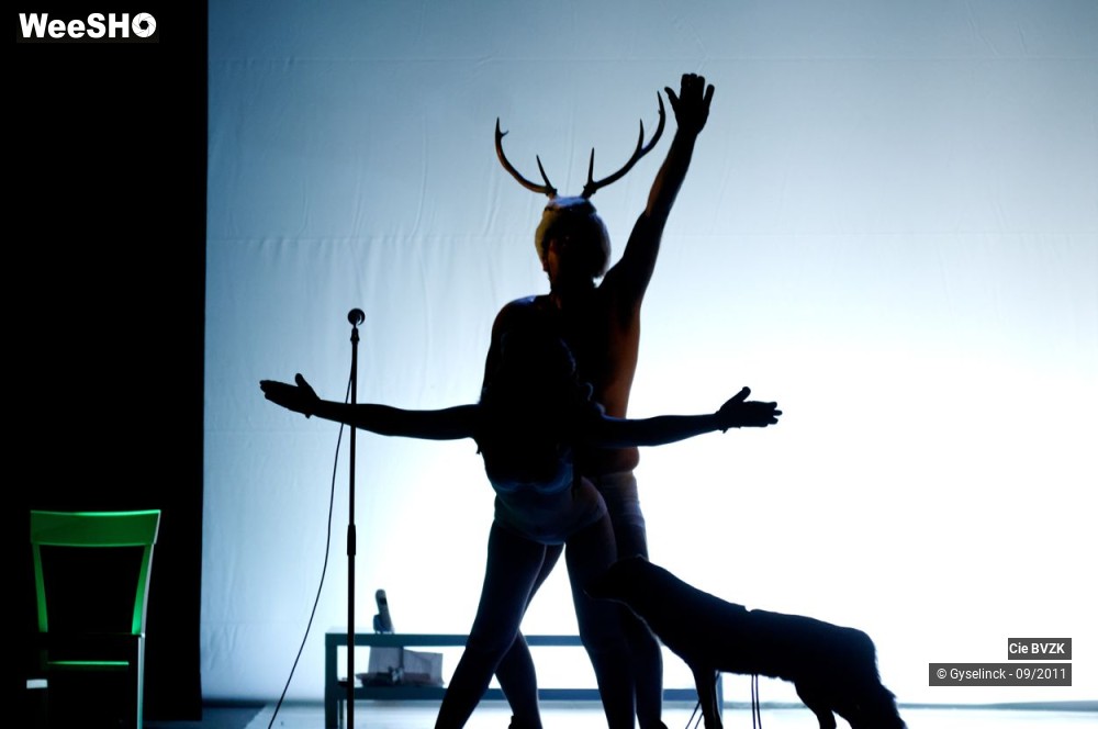 27/46 photos du spectacle Autoportrait