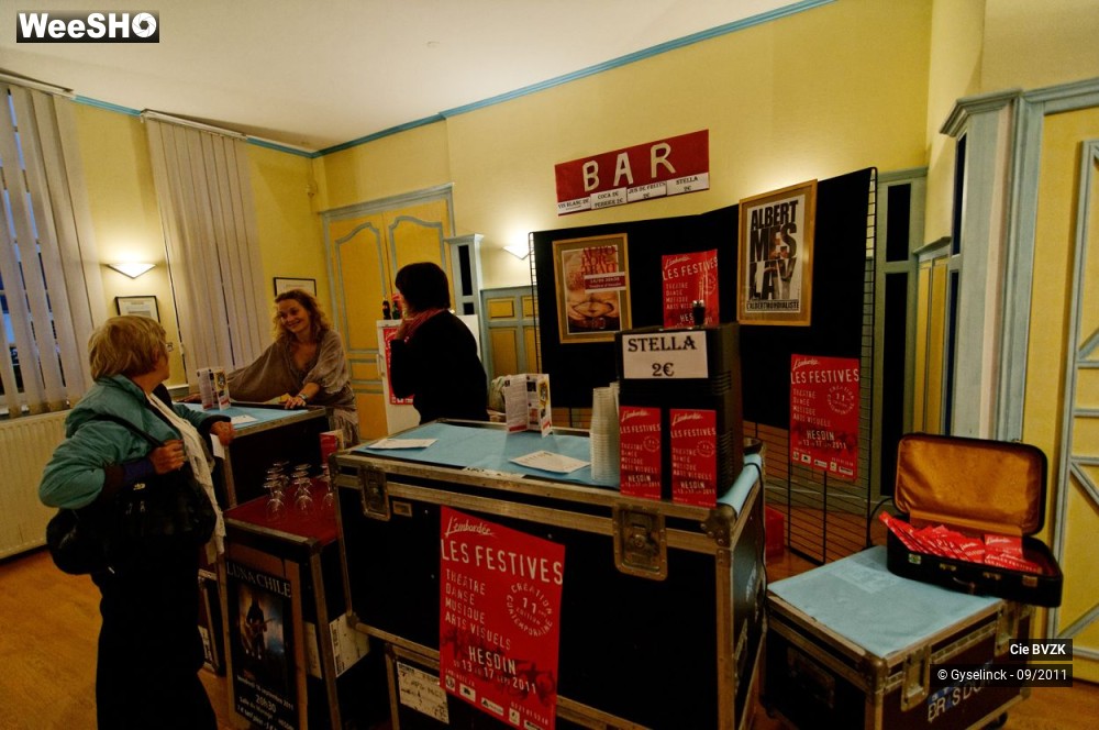 29/46 photos du spectacle Autoportrait