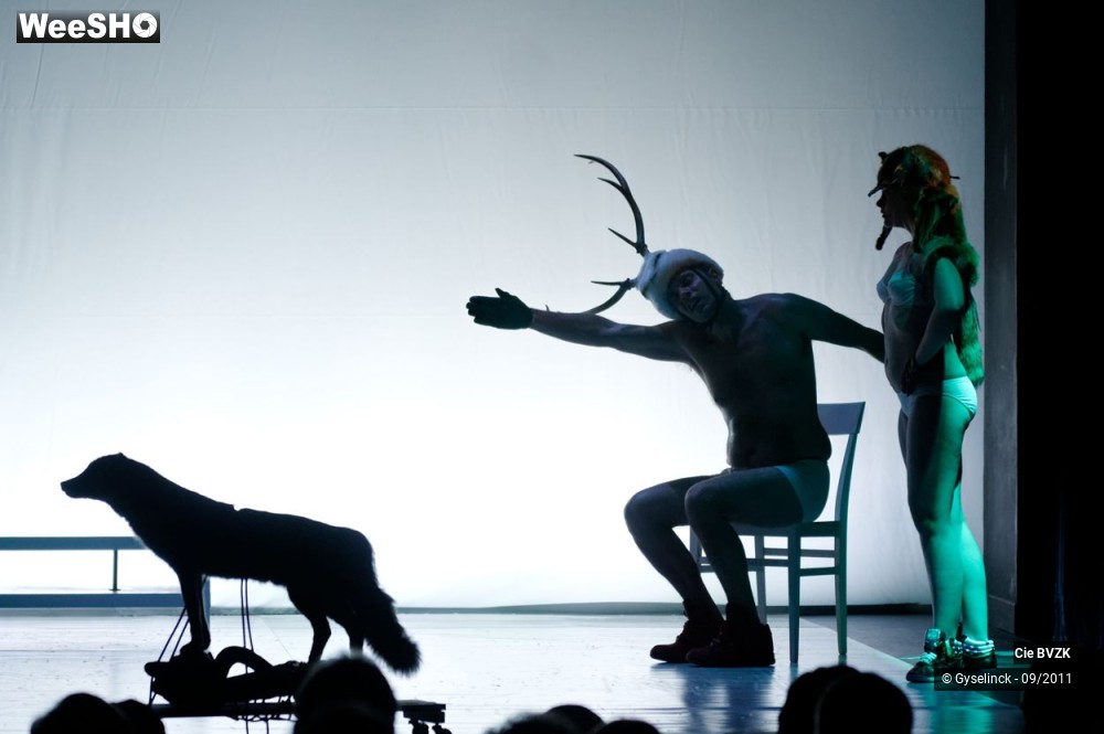 31/46 photos du spectacle Autoportrait