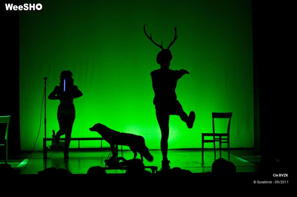 34/46 photos du spectacle Autoportrait