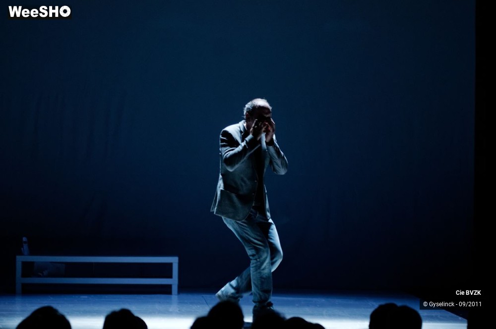 39/46 photos du spectacle Autoportrait