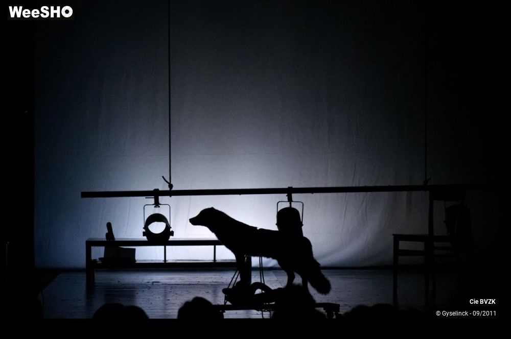 43/46 photos du spectacle Autoportrait