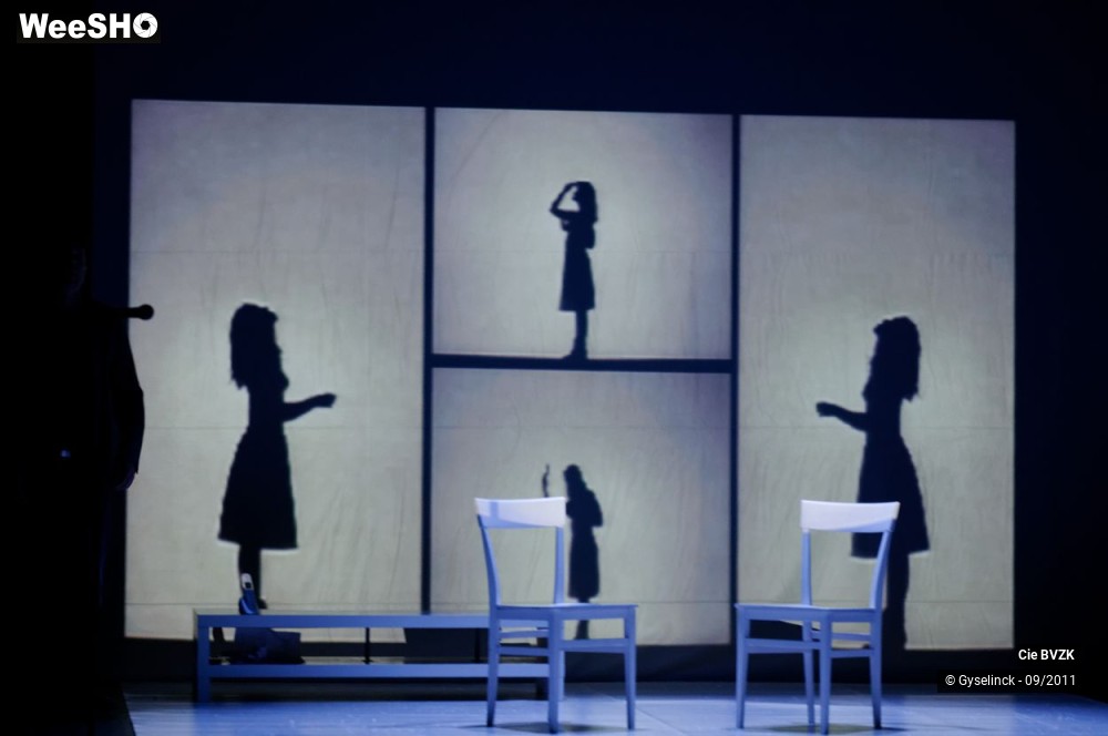 44/46 photos du spectacle Autoportrait