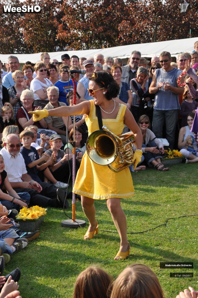 25/47 photos du spectacle Mademoiselle Orchestra