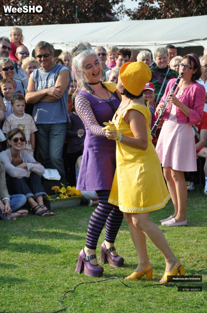 32/47 photos du spectacle Mademoiselle Orchestra