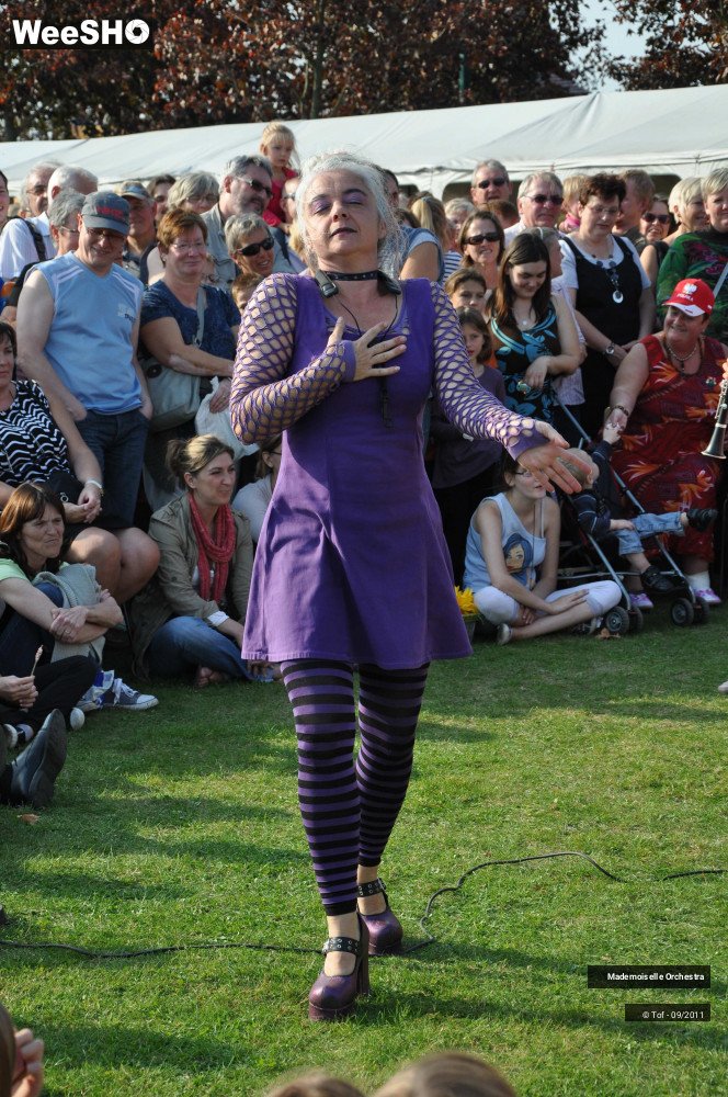 34/47 photos du spectacle Mademoiselle Orchestra