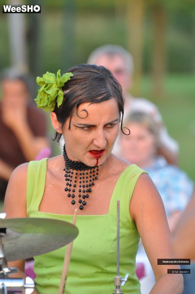 43/47 photos du spectacle Mademoiselle Orchestra