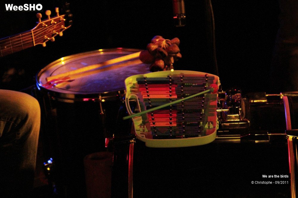 7/25 photos du spectacle We are the birds