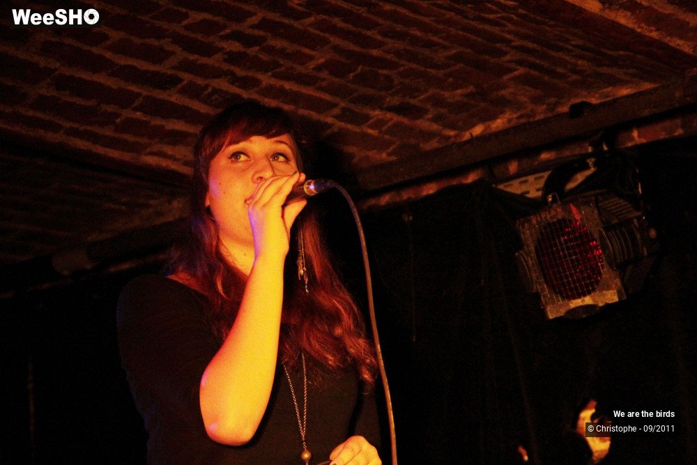 8/25 photos du spectacle We are the birds