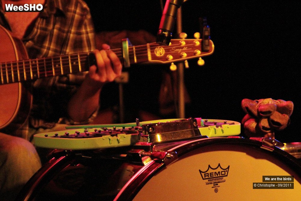 11/25 photos du spectacle We are the birds