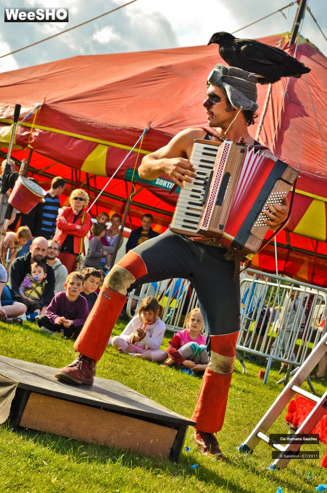 10/38 photos du spectacle Il pleut dans l'omelette