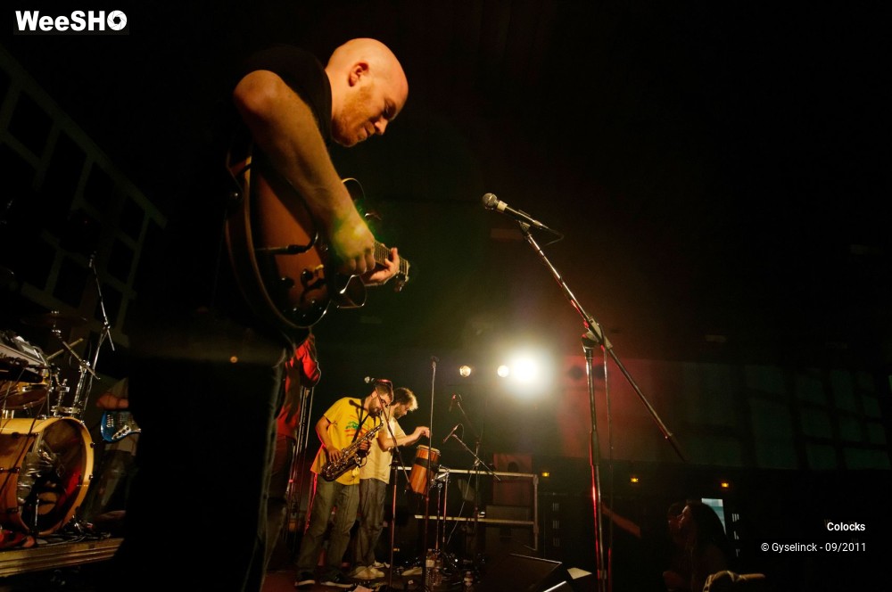 16/20 photos du spectacle Colocks