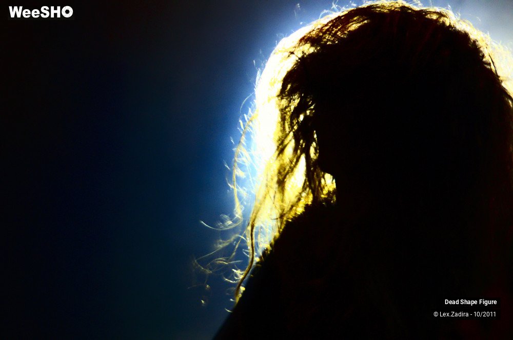 3/14 photos du spectacle Dead Shape Figure