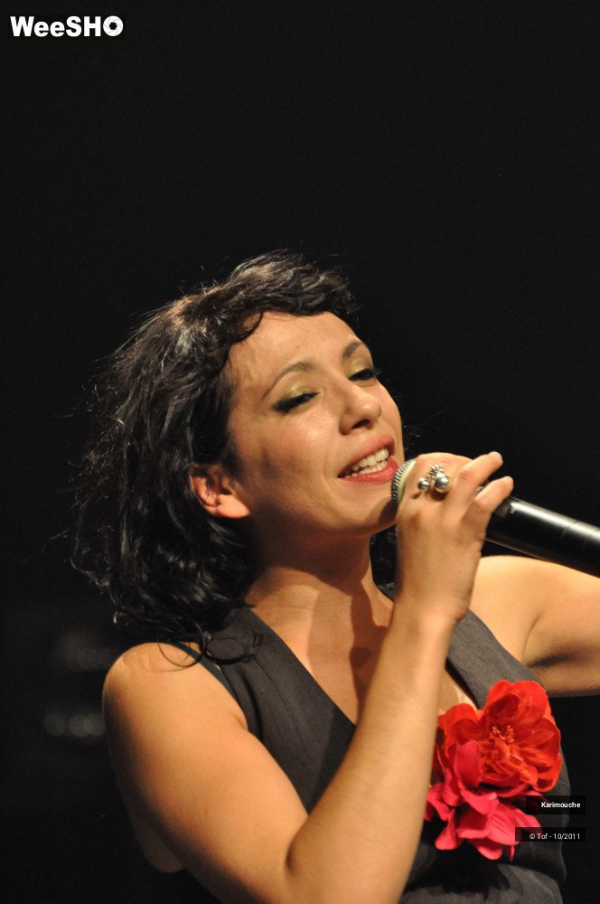 40/44 photos du spectacle Karimouche