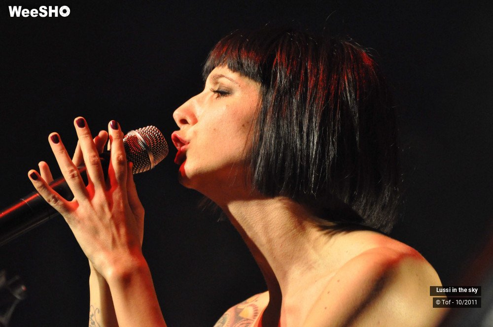 13/38 photos du spectacle Lussi in the sky