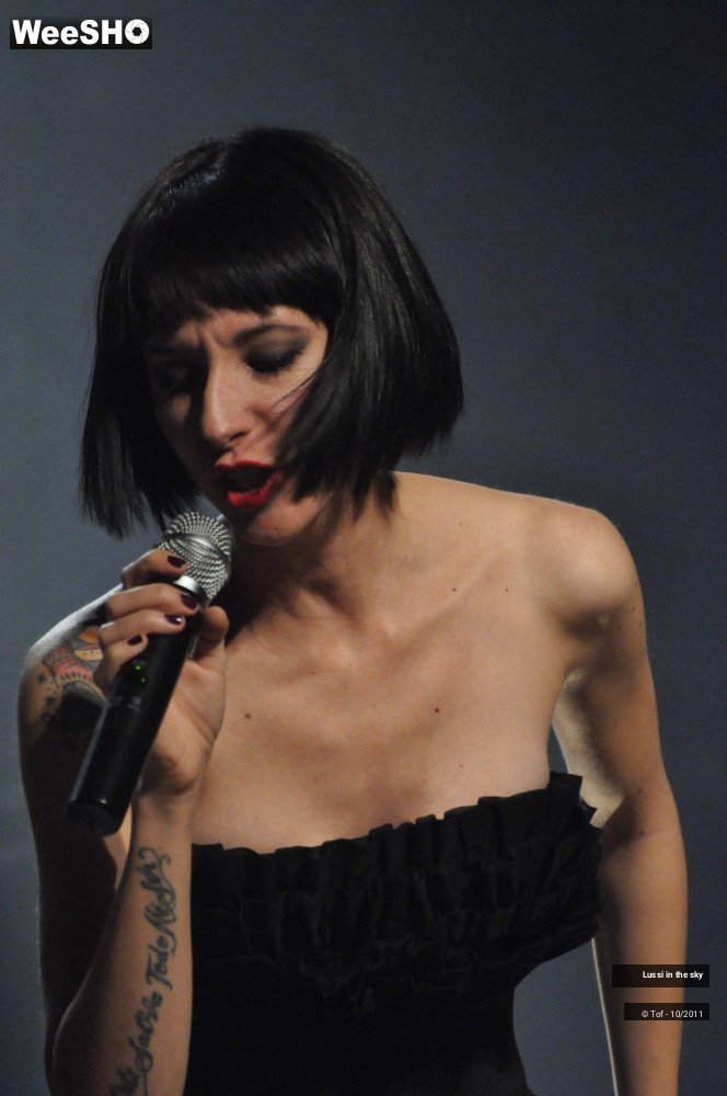 33/38 photos du spectacle Lussi in the sky